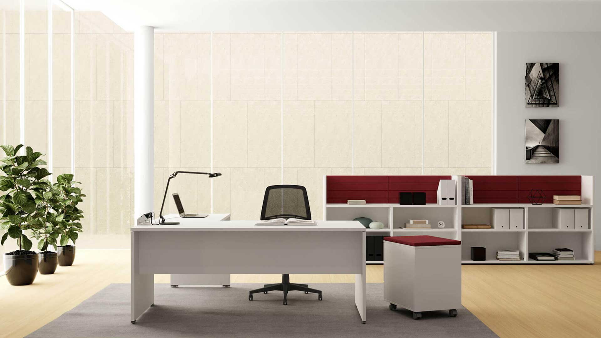 OXI-001_Image_principale