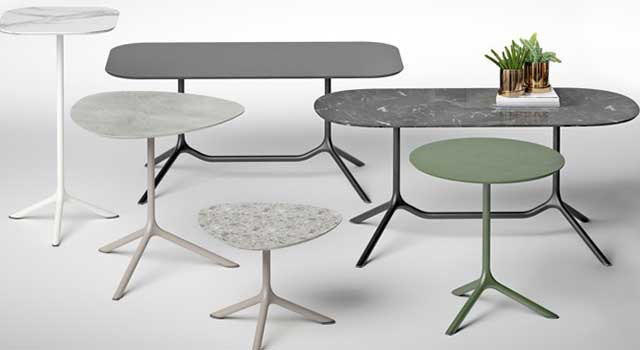 01---TRIPE_Image-Principale